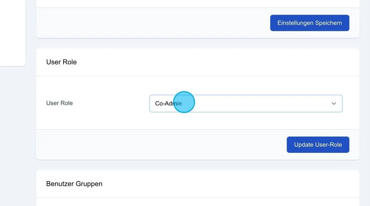 Screenshot: User Role